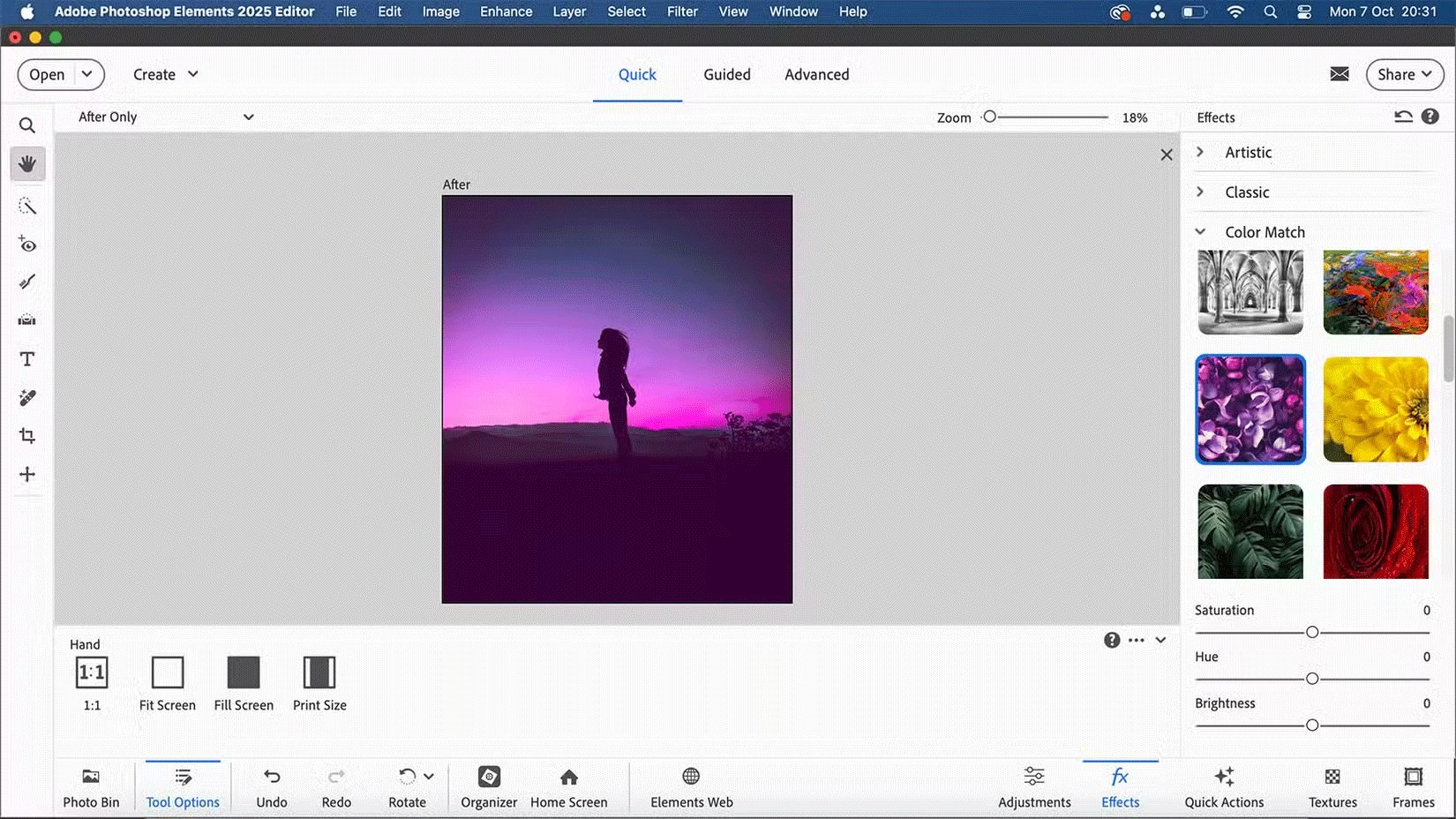Adobe Photoshop Elements với Color Match