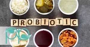 Những loại Probiotic tốt nhất cho sức khỏe đường ruột