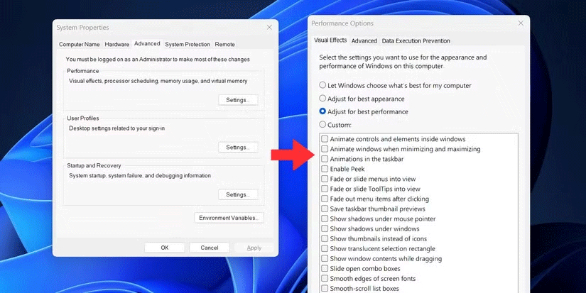 Visual Effect utility page in Windows 11 with Adjust for best performance option