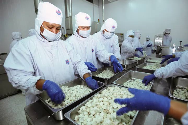 Cúm gia cầm đã lây sang bò sữa