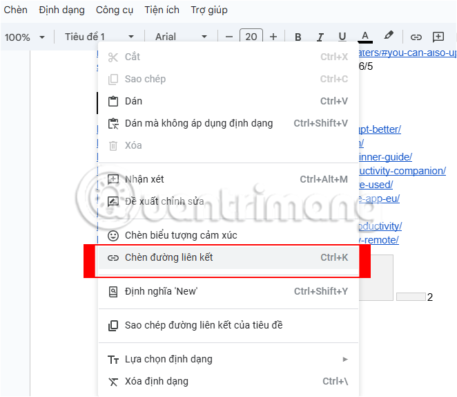 Insert link options in Google Docs.