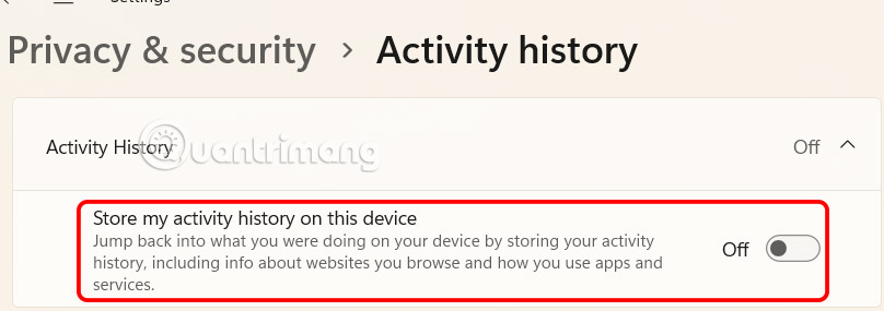 Disable Windows 11 activity history