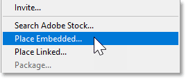 Chọn lệnh Place Embedded từ menu File.
