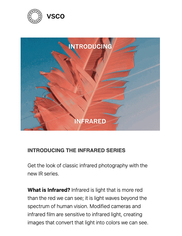 VSCO newsletter
