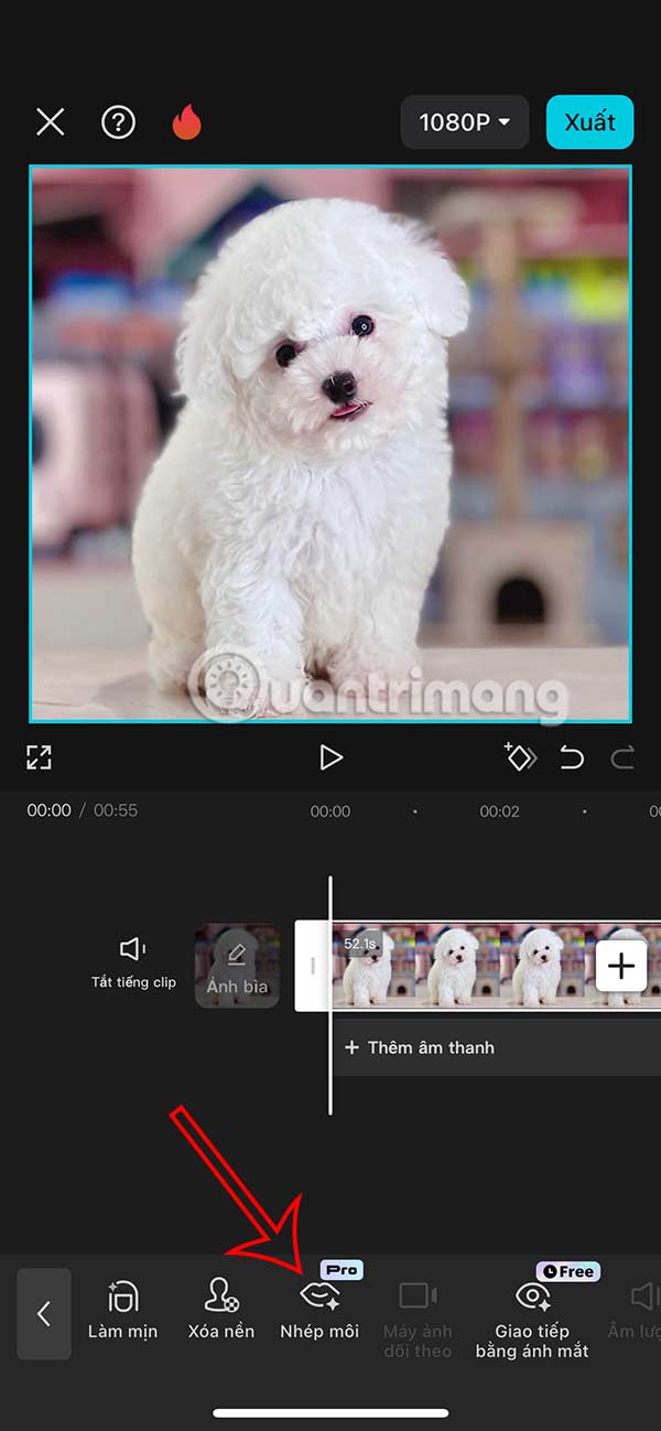 Tính năng nhép môi trên CapCut