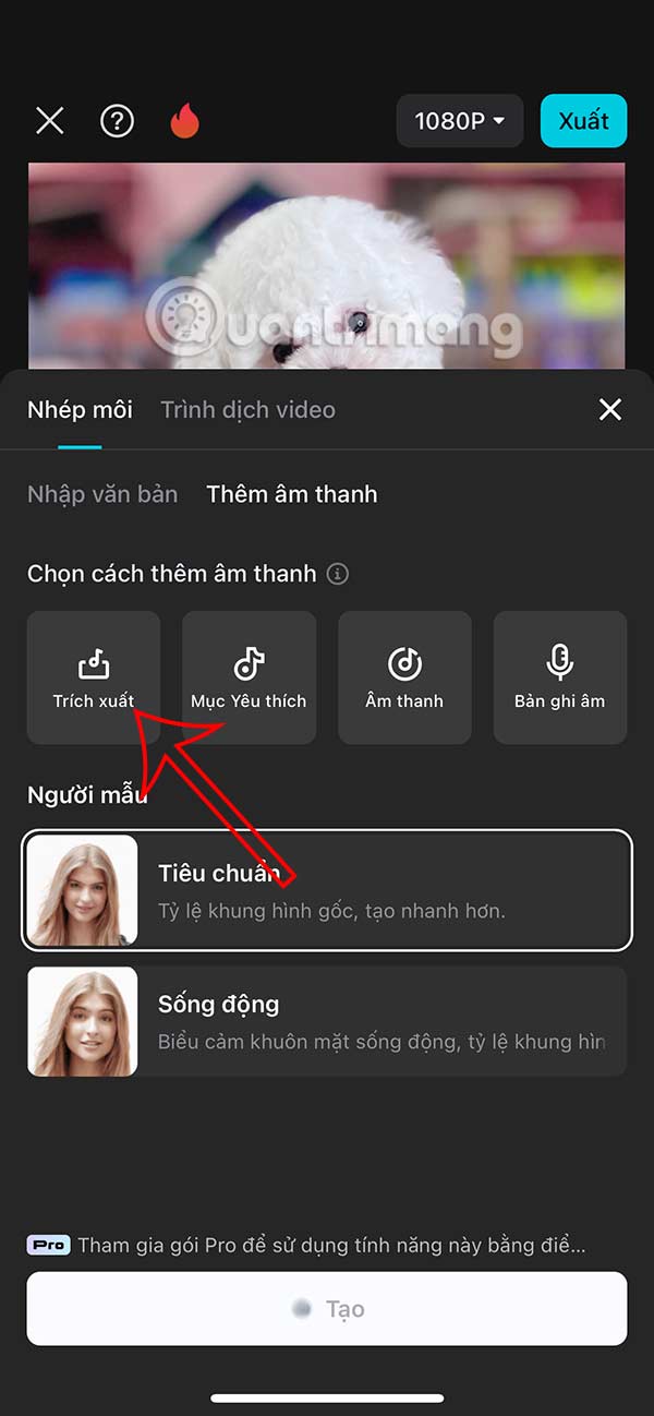Trích xuất âm thanh