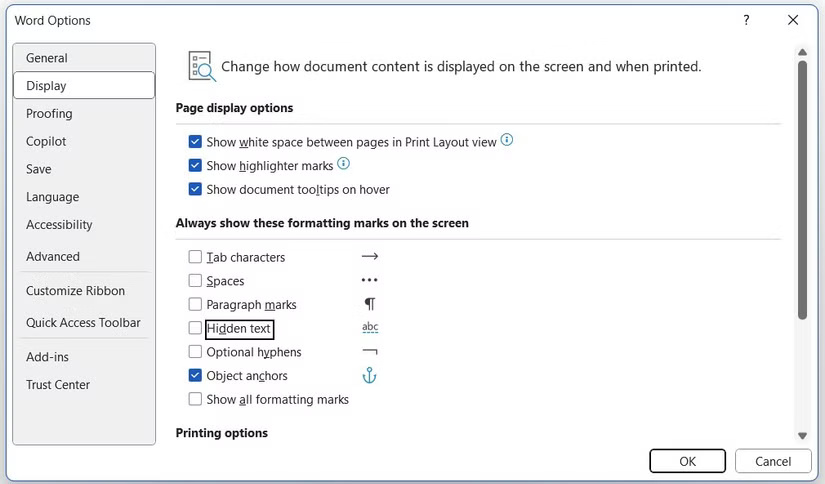 Cửa sổ Word Options với tab Display được chọn