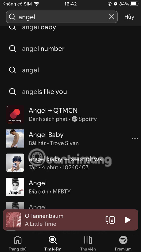 Enter your Spotify account name