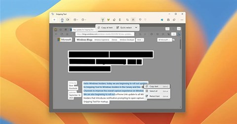 Cách ẩn văn bản trong ảnh chụp màn hình Windows 11