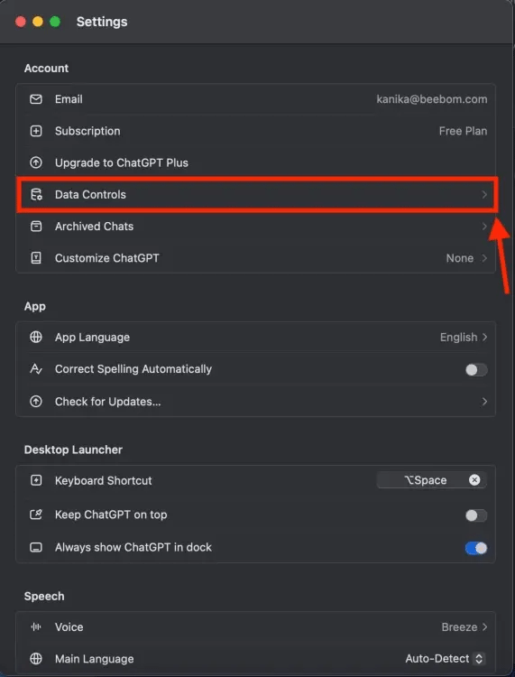 Control data in ChatGPT settings