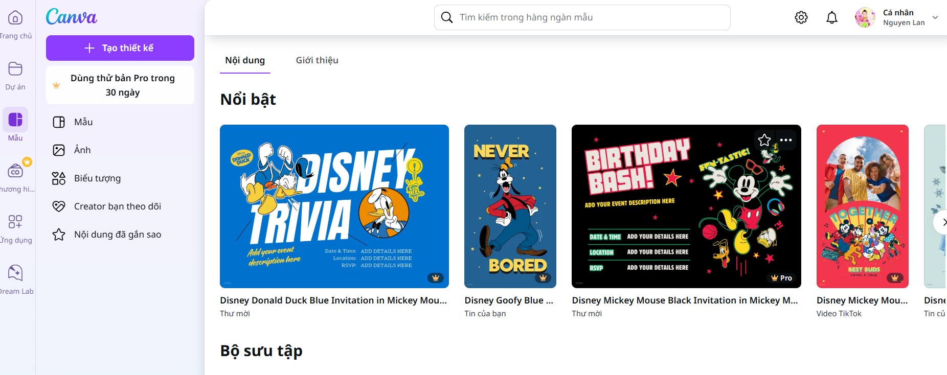 Canva's Disney Collection