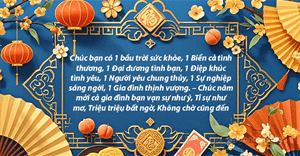 Hình chúc tết 2025, ảnh chúc mừng năm mới 2025