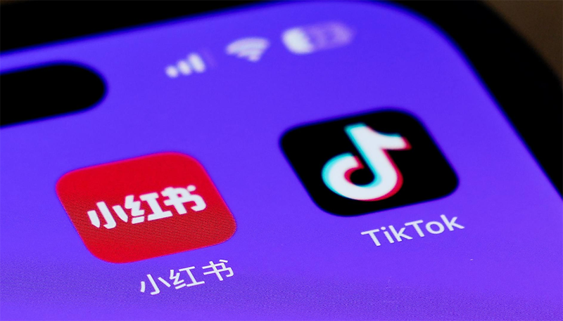 rednote vs tiktok