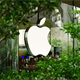 Người dùng có thể tạm dừng các bản tóm tắt thông báo có vấn đề của Apple Intelligence trong bản cập nhật iOS tiếp theo