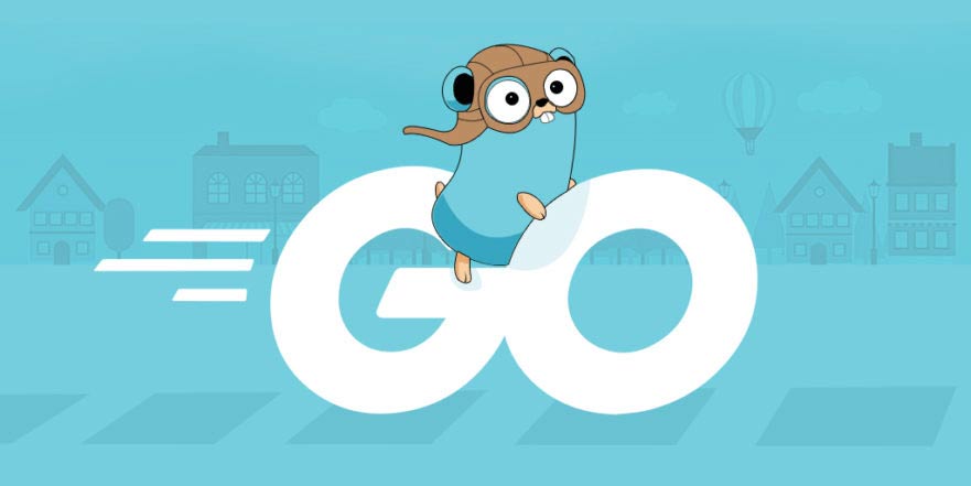 Why use Go