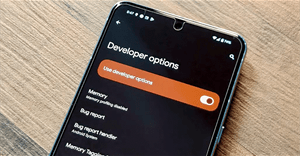12 tùy chọn Developer đáng để tinh chỉnh nhất trên Android