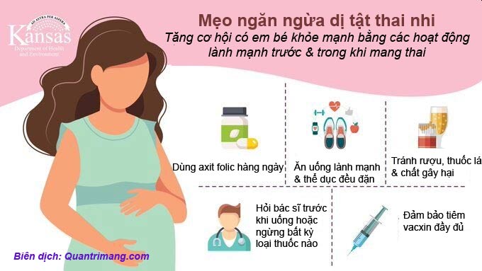 Cách phòng tránh dị tật thai nhi