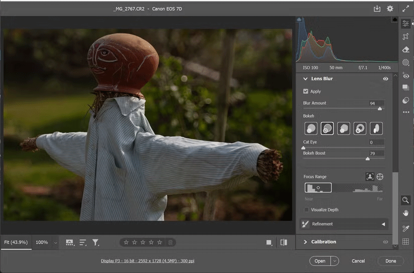 Install the Blur Photoshop lens in RAW camera