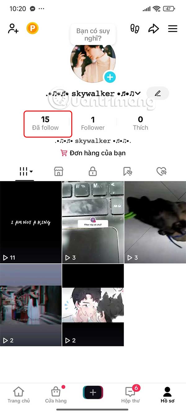 Danh sách bạn bè trên TikTok
