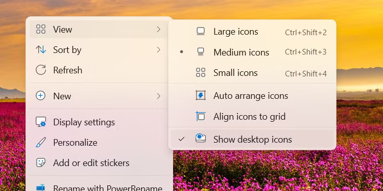 Hide icons on Windows Desktop.