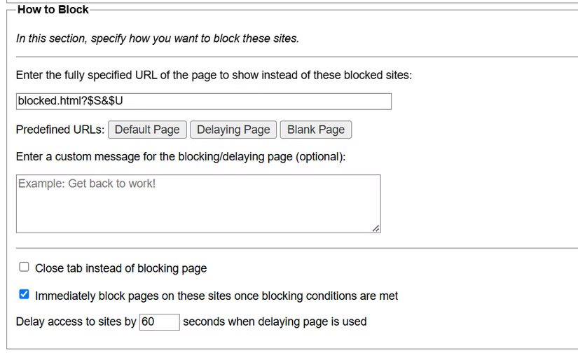 Part "How to Block" of Leechblock Chrome extension.