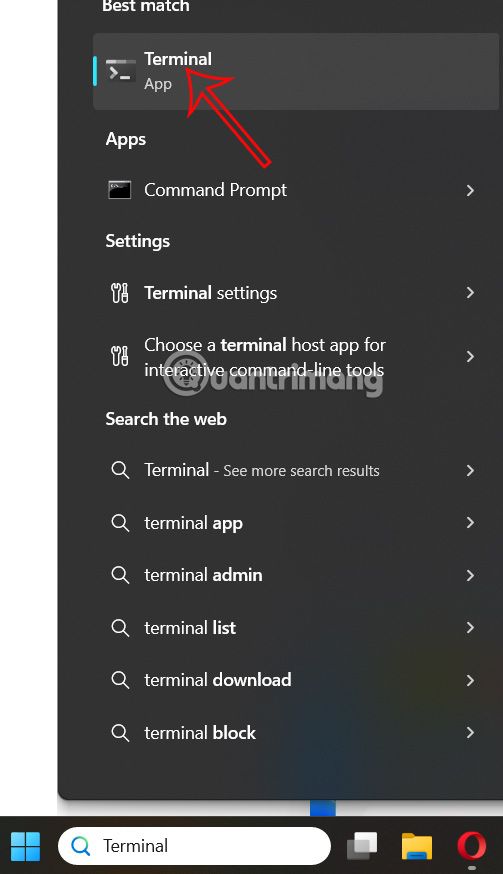 Tìm kiếm Windows Terminal