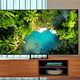 Tại sao nên mua TV Mini-LED?