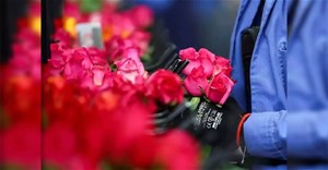 Giải đáp những câu hỏi phổ biến nhất về ngày Valentine