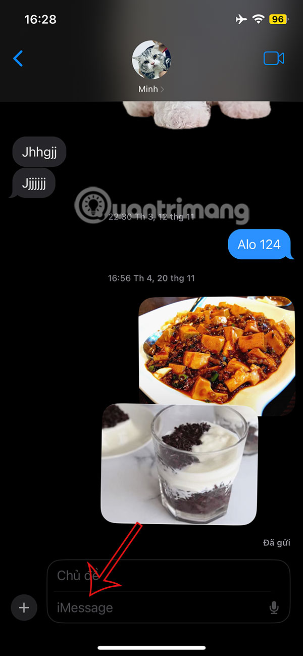 Giao diện nhắn tin trên iPhone 