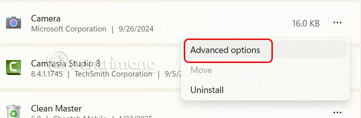 Advanced Options Windows 11