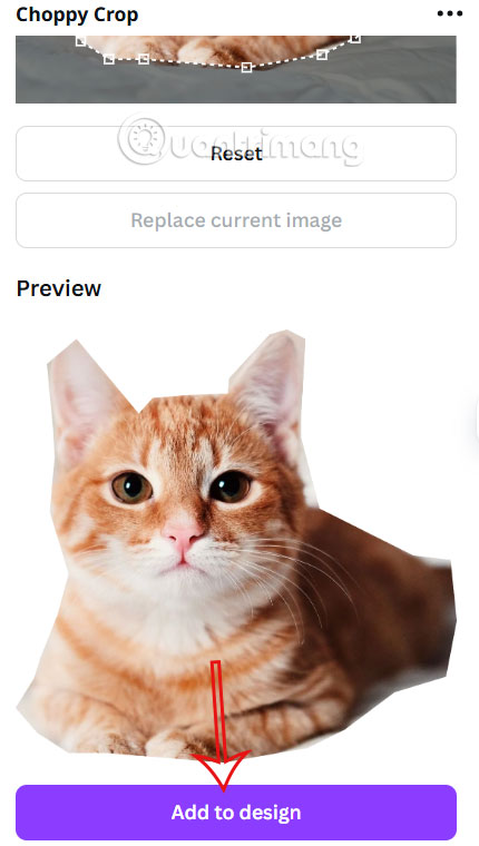 Chèn ảnh vào thiết kế