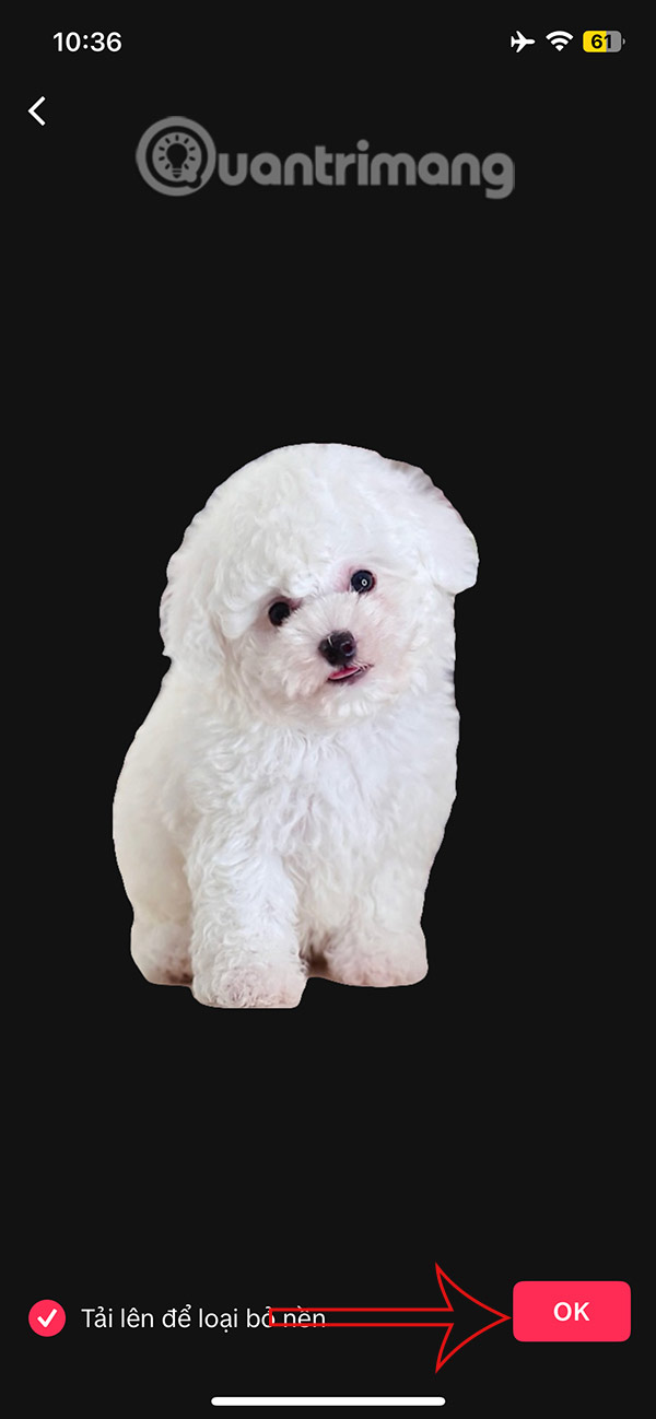 Loại nền ảnh