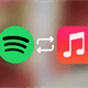 Hướng dẫn nhập playlist từ Apple Music vào Spotify