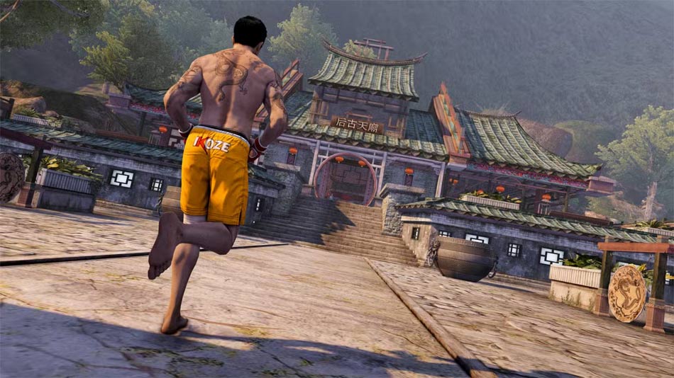 The Zodiac Tournament - Sleeping Dogs