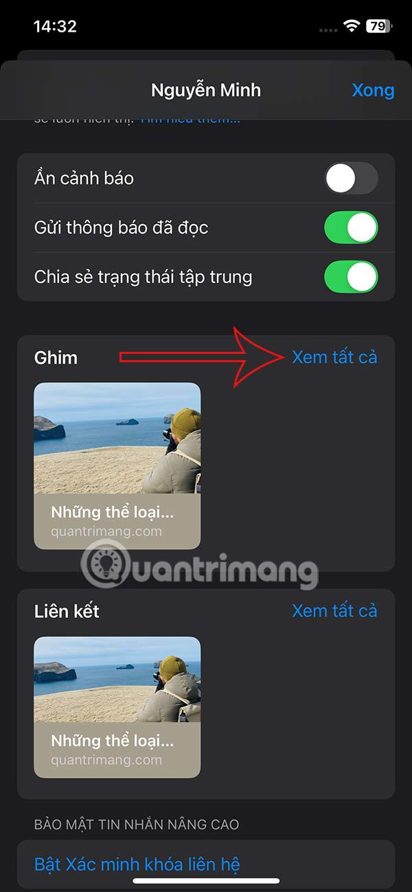 Xem tất cả nội dung ghim trong tin nhắn iPhone