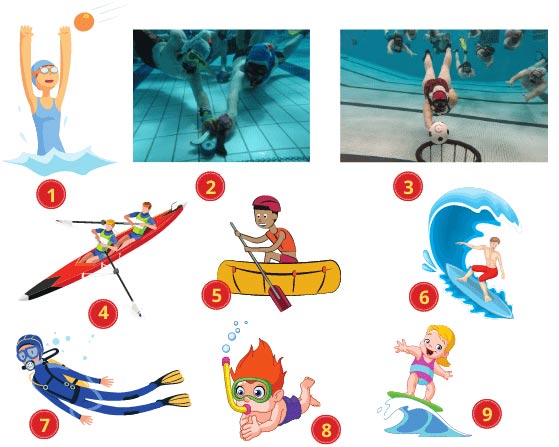 Các môn thể thao dưới nước