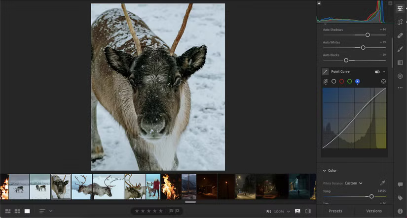 Adobe Lightroom Color Curve