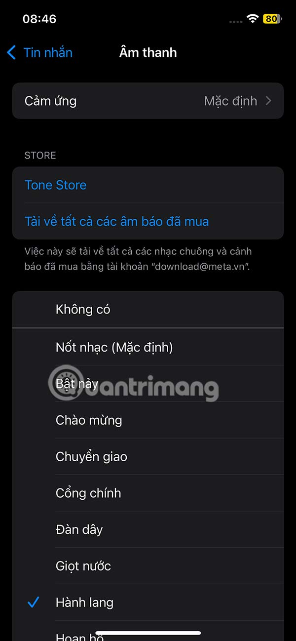 Tùy chọn âm báo tin nhắn iPhone