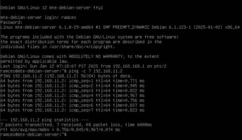 Terminal hiển thị hiệu suất ping của Tinc trên Debian.
