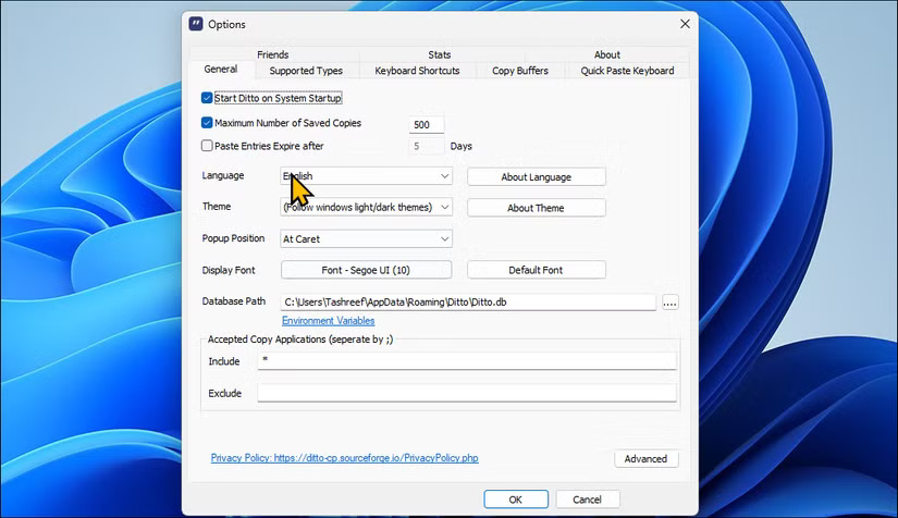 Hộp thoại tùy chọn Ditto Clipboard Manager trên Windows 11