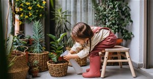 Tại sao nên trò chuyện với trẻ về nghề nghiệp?