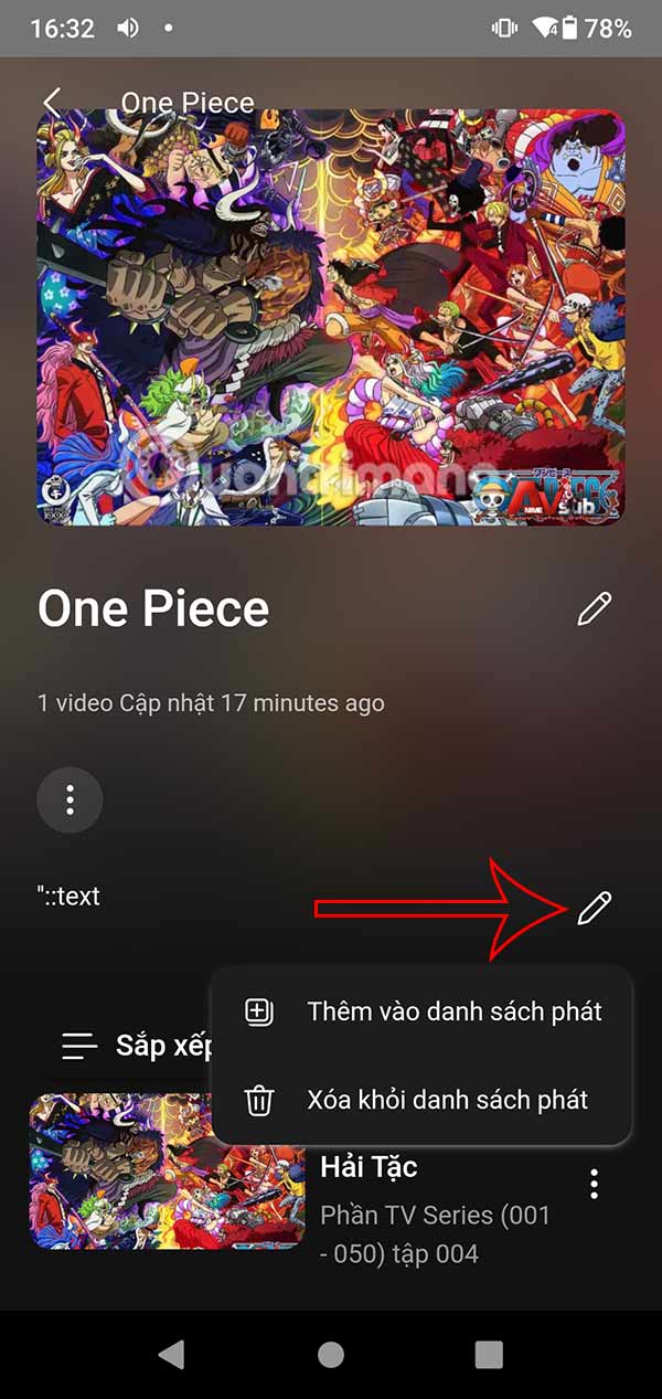 Tùy chỉnh video playlist AnimeVsub