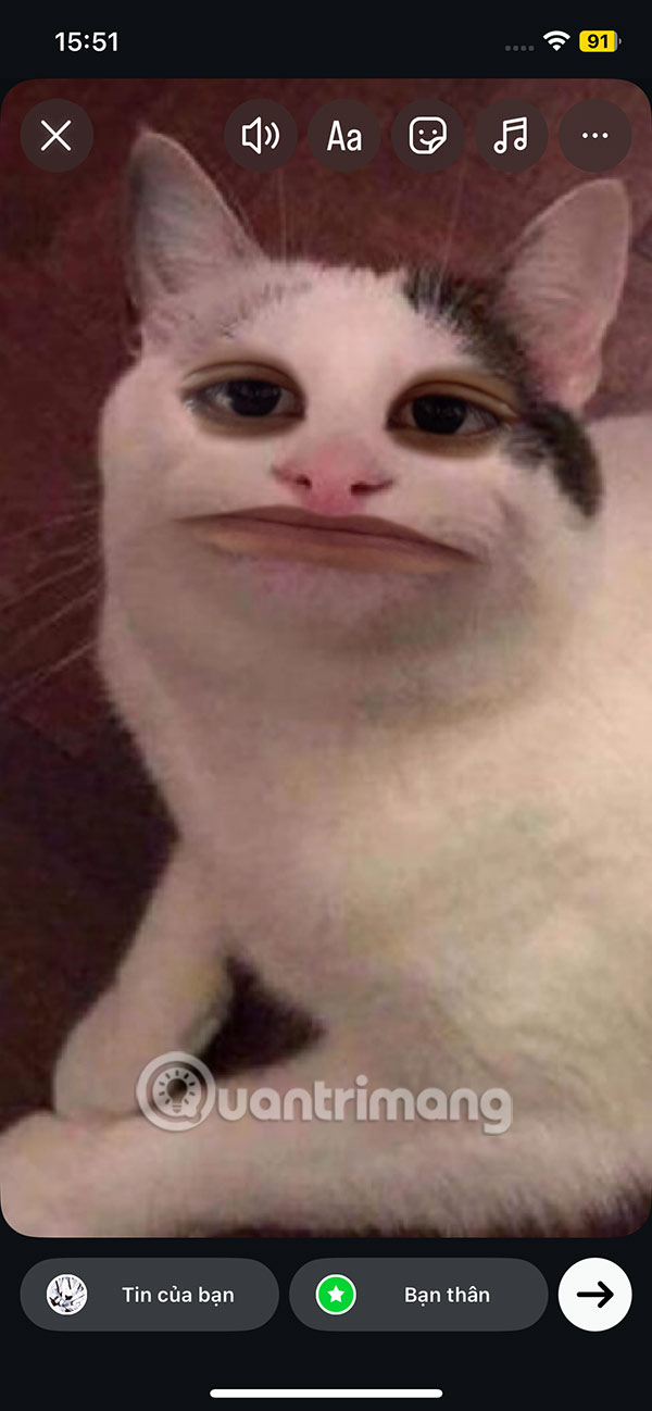 Quay video filter Talking Cat Instagram
