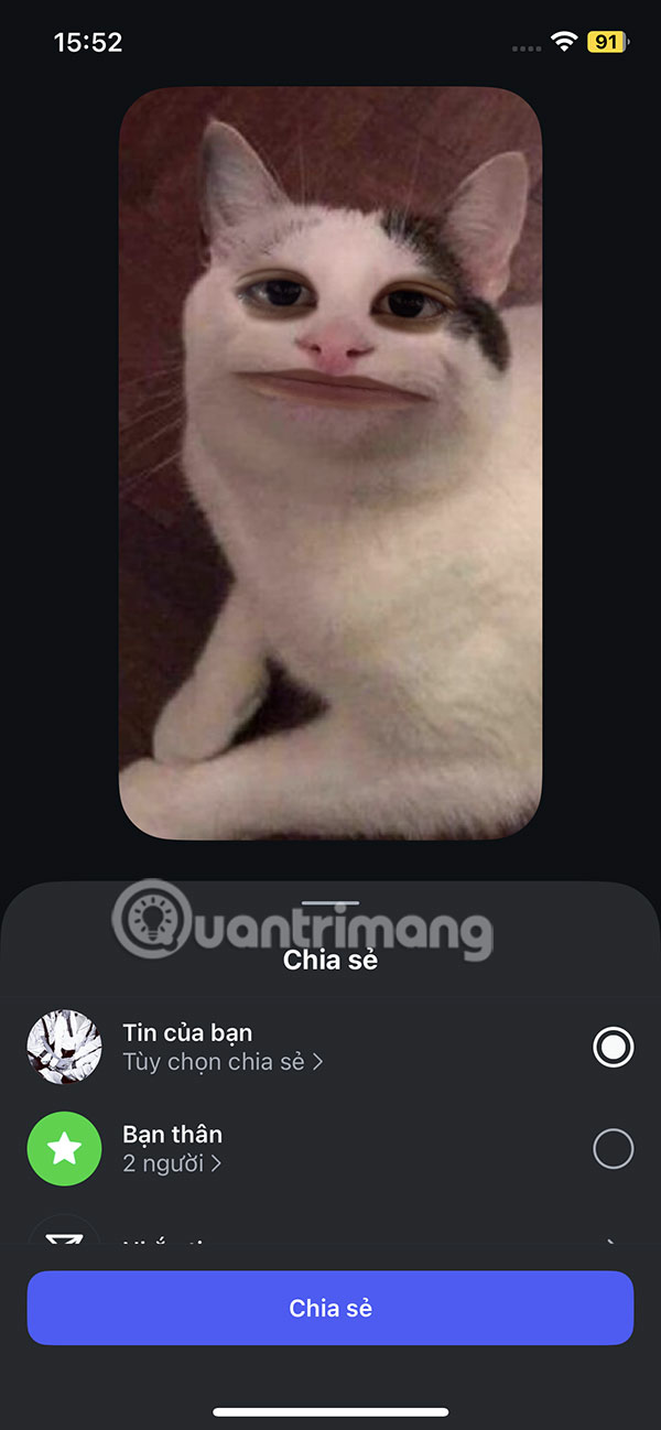 Đăng video Talking Cat Instagram