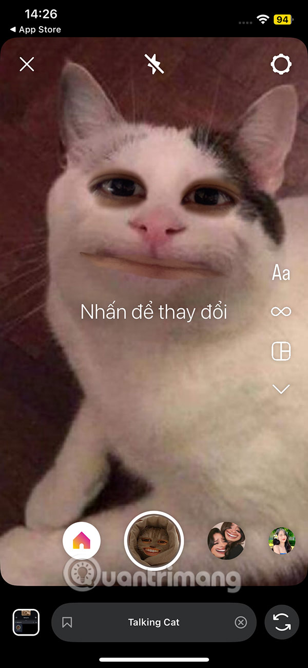 Filter Talking Cat Instagram