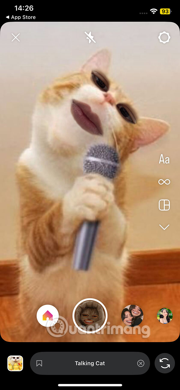 Quay video filter Talking Cat