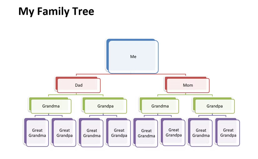 Template cây phả hệ 15 thành viên dành cho Microsoft Word