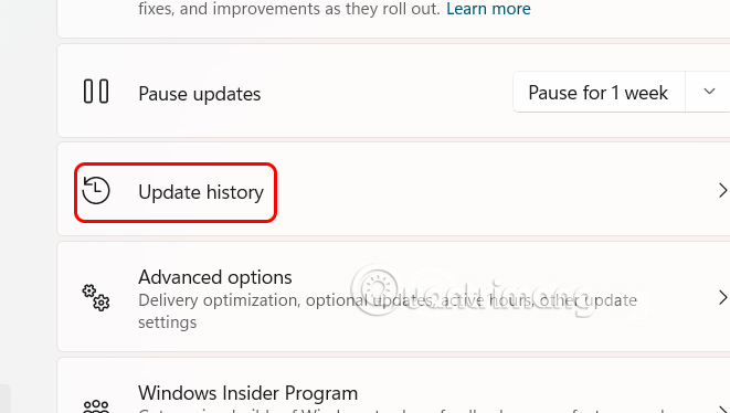 Update history Windows 11