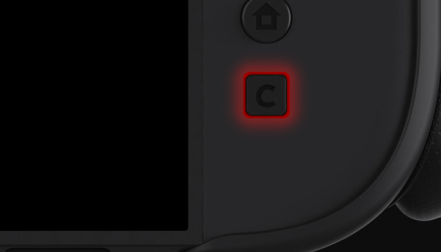 nut c nintendo switch