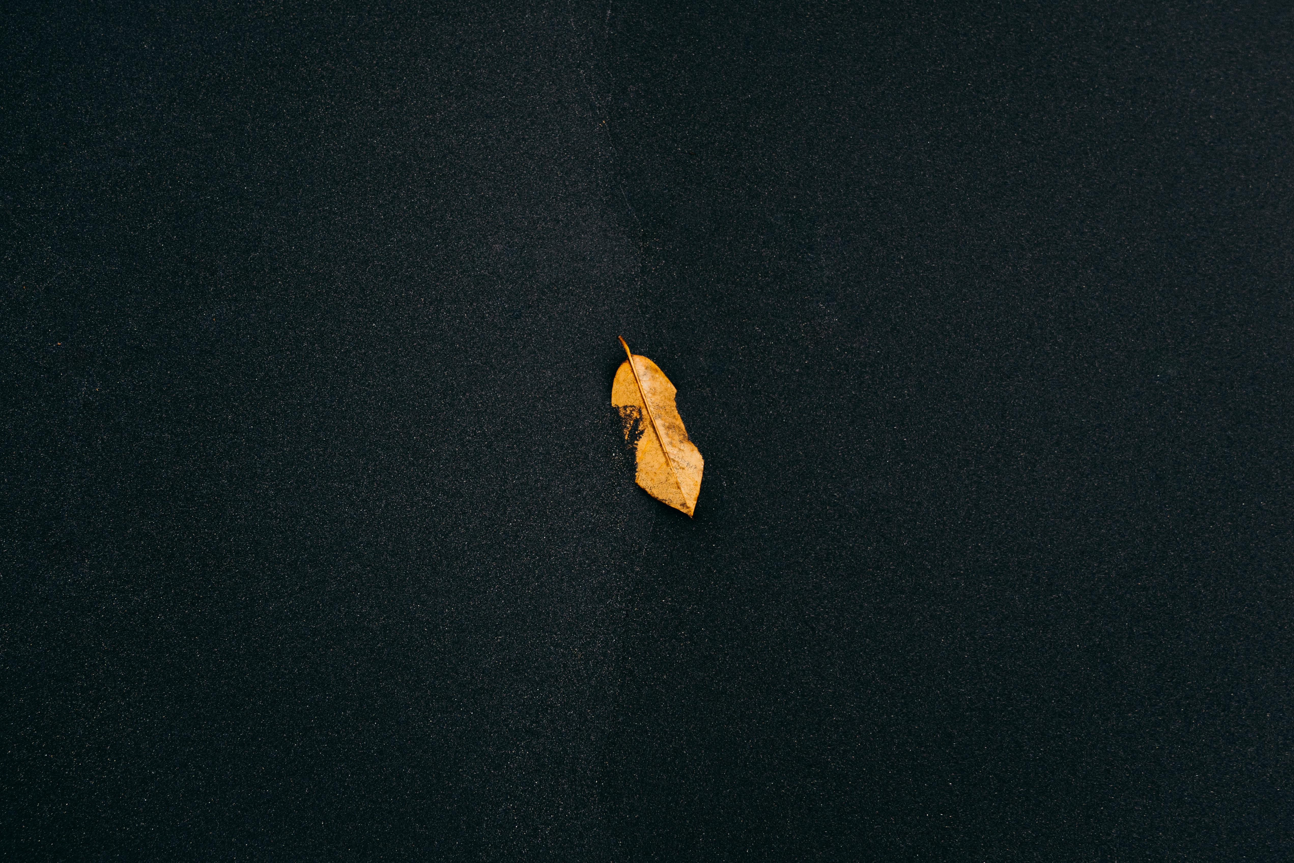 dark wallpaper